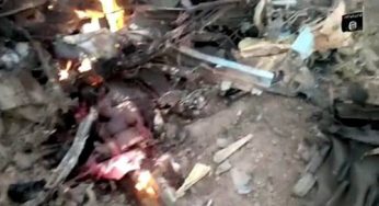 Boko Haram bombs missing Airforce fighter jet, releases video