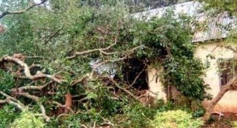 How mysterious wind destroyed houses, farm produces worth millions in Benue community