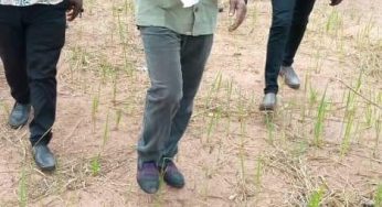 Senator Abba Moro inspects damages caused by windstorm in Ogbadibo and Okpokwu