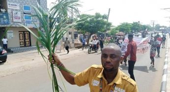 Students protest over killings of IDPs in Benue