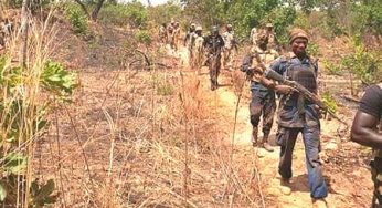 Oyo police storm forest in search of abducted women