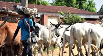 Soldier, two others killed as herdsmen attack Benue communities