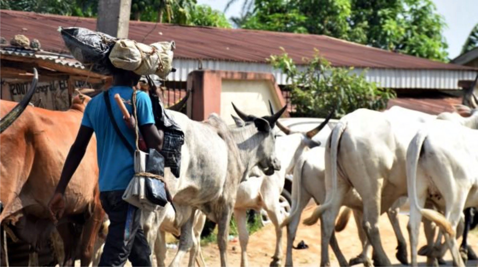 Two killed, houses razed as herdsmen attack Agatu