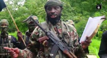 BREAKING: Abubakar Shekau reportedly commits suicide in Sambisa forest