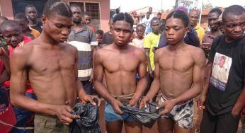 Three gays nabbed in Otukpo