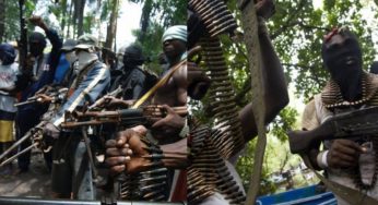 Gunmen raid Niger village, kill DPO, six others