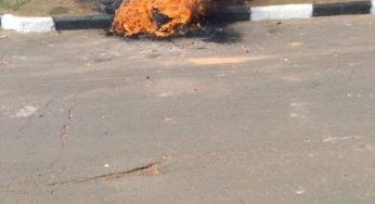 Jungle Justice: Irate youths allegedly burn motorcycle snatcher to death in Benue