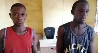 Vigilante arrests members of kidnap syndicate in Otukpo