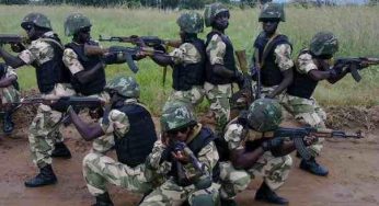 Seven shot dead as soldiers open fire on staff of Dangote Sugar Company protesting in Adamawa   