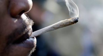 Nigeria set to legalise Indian hemp