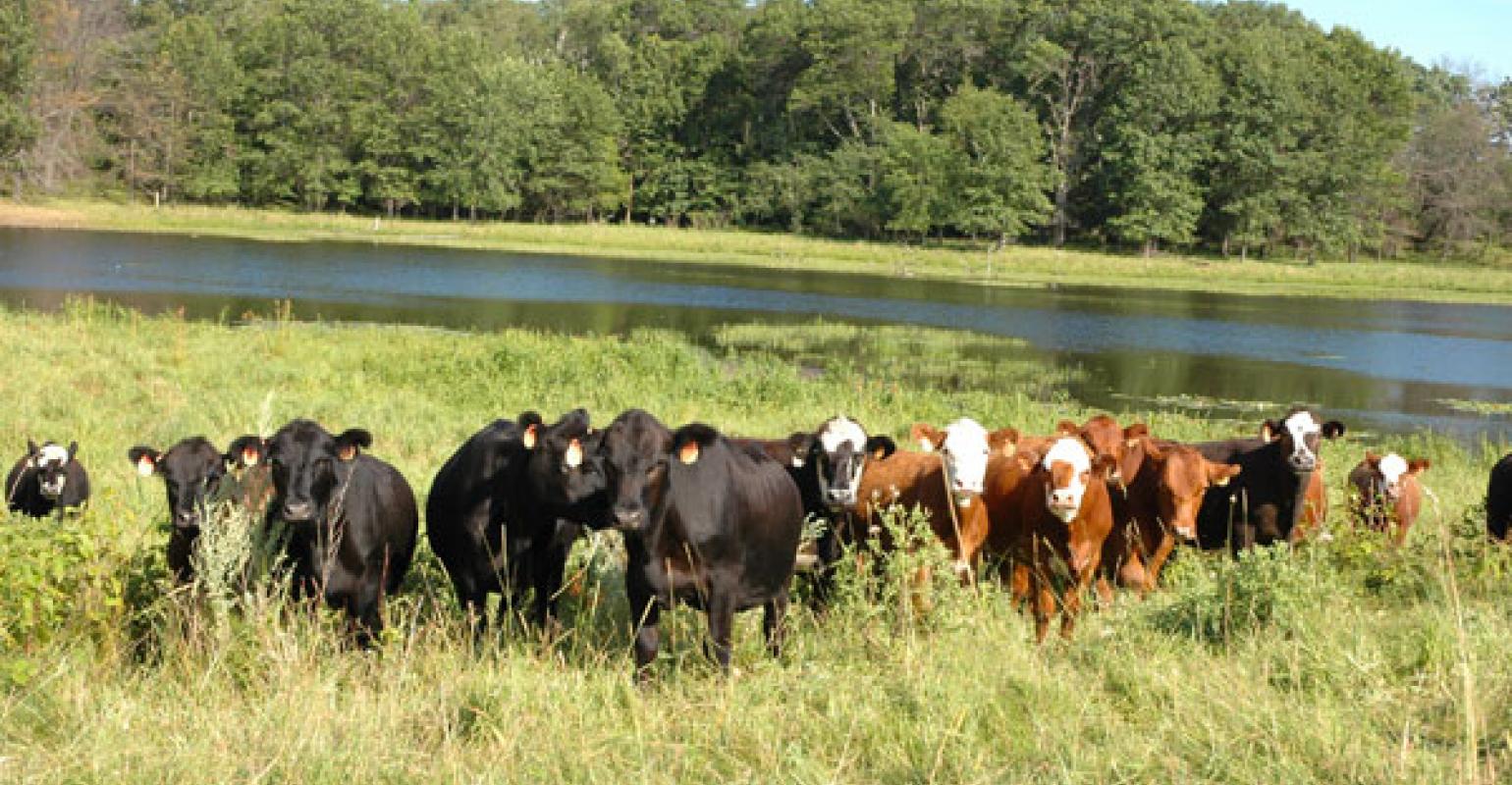 We have no land for grazing reserves – Benue Govt