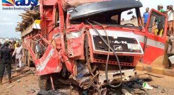 Truck conveying cattle loses control, rams into vehicles in Akwa (PHOTOS)