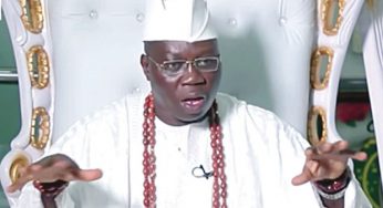 Yoruba Nation Rally: Why I didn’t join the protests – Gani Adams
