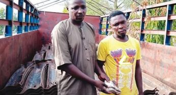 Two suspects arrested for vandalizing rail tracks, attempting to bribe police officers in Nasarawa