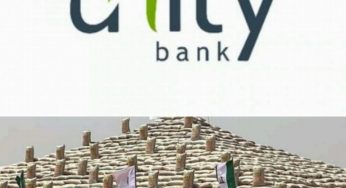 Unity Bank Partners RIFAN Mega Rice Pyramid Display, Pledges More Support For Farmers