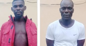 Notorious ‘native doctors’ who allegedly make charms for ESN members arrested in Imo