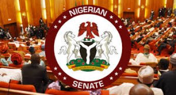 BREAKING: Senate finally scraps HND/BSC dichotomy