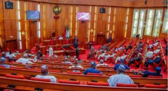 BREAKING: Senate passes N74.78bn 2021 Police Trust Fund budget