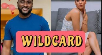 BBNaija season 6: Meet the two wildcards in Shine Ya Eye house 