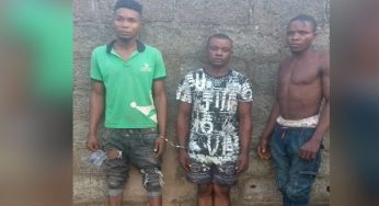 Police arrest three cultists for forcefully initiating Celestine Oyebuchi to join their cult group