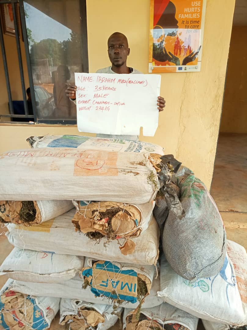 NDLEA busts interstate drug cartels in Benue, Kogi, Nasarawa, arrest 7 kingpins