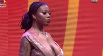 BBNaija 2021: Meet Shine Ya Eye female housemates (Live update)