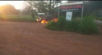 Four officers killed, van set ablaze as gunmen attack policemen in Enugu