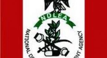 NDLEA intercepts N1.1billion travellers’ cheques, 10.89kg Cocaine at Lagos airport