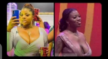 BBNaija Season 6: Reactions as Nigerians compare Angel to heavily-chested Dorathy  