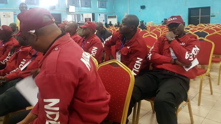 BREAKING: NDLEA releases list of successful candidates