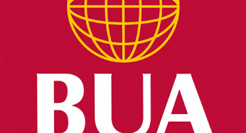 BUA under fire for increasing price of cement by N200 per bag