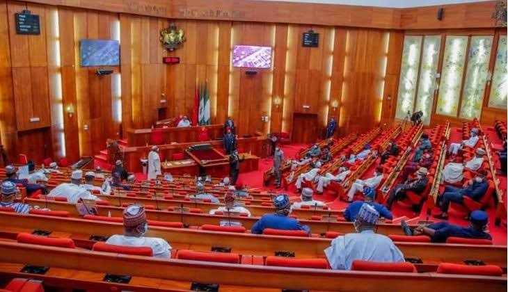 BREAKING: Senate passes harmonised PIB despite protests