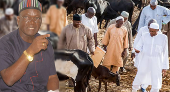 Grazing reserves: Buhari only bordered about animals, gradually turning Nigeria into cow republic – Ortom
