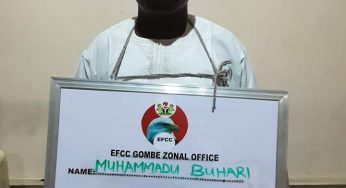 Court convicts Muhammadu Buhari, one other in Gombe over N8.75m gratification