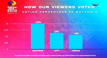 BBNaija 2021: See how Nigerians voted for Beatrice, Niyi, Yerins