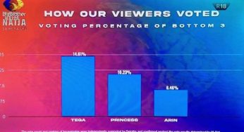 BBNaija season 6: See how Nigerians voted for Arin, Princess