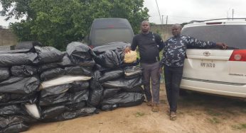 NDLEA recovers 8,268kg of cocaine, heroin, skunk in raids across 7 states