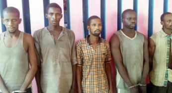 14 notorious kidnappers arrested, 19 phones, 22 SIM cards recovered