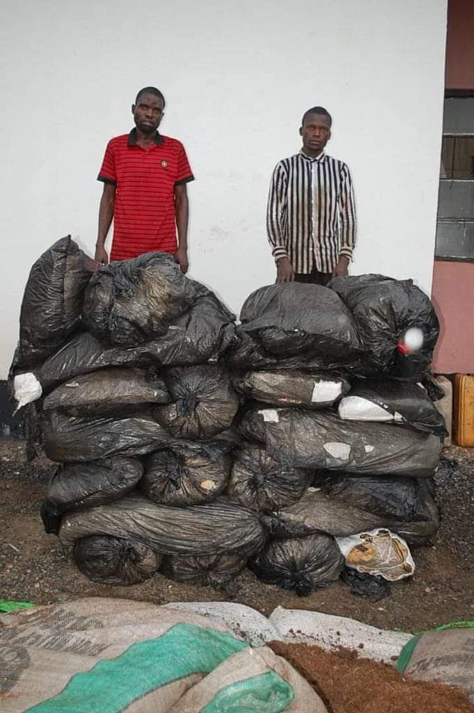 NDLEA arrests drug dealers, recover illicit drugs in Anambra, others