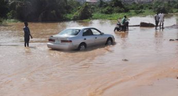 Five feared dead, others missing in Yobe flood