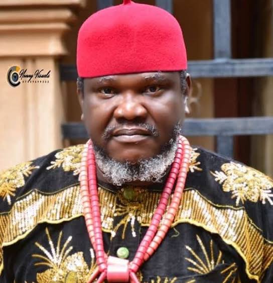 Men will always cheat, manage them – Nollywood actor, Ugezu begs women 