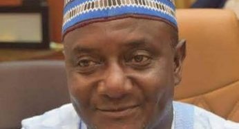 Muhammed Sani: Abducted Niger Commissioner regains freedom