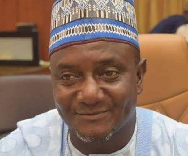 Muhammed Sani: Abducted Niger Commissioner regains freedom