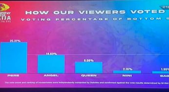BBNaija: How viewers voted for Saga, Nini, Queen, Pere