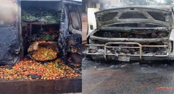 Vehicle conveying tomatoes, vegetables set on fire for violating sit-at-home order in Enugu