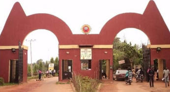 Polytechnic student commits suicide, wills phone to girlfriend in Edo