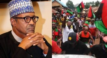 Deji Adeyanju tells IPOB what to do to Buhari as he visits Imo