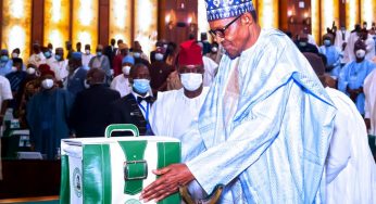 2022 budget: Presidency to spend N479.85m on internet, telephone, electricity, generator fuel