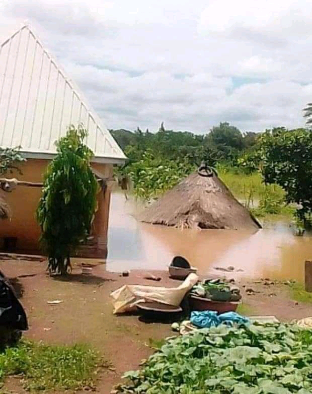 Flood destroy 3,000 houses, farm produces worth billions of naira in Konshisha, Benue 