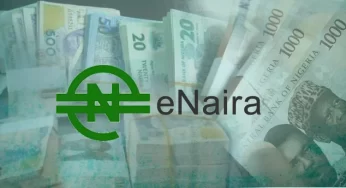 E-Naira speed wallet disappears from Google Play Store 48hrs after launch, 100k downloads